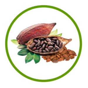 Cacao